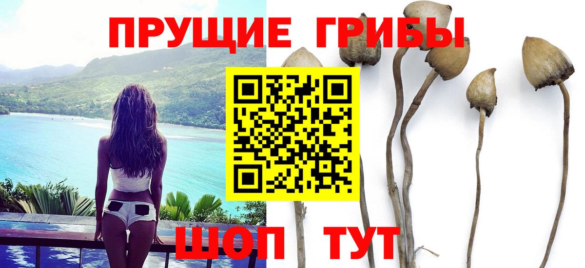 Галлюциногенные грибы Cubensis  Вход с VPN  Кимры 