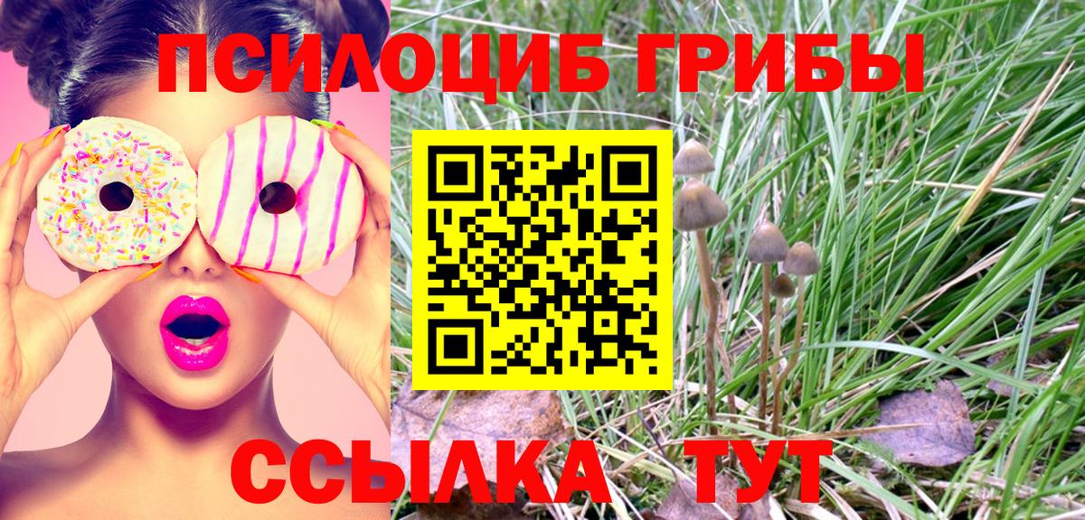 Псилоцибиновые грибы GOLDEN TEACHER Кимры