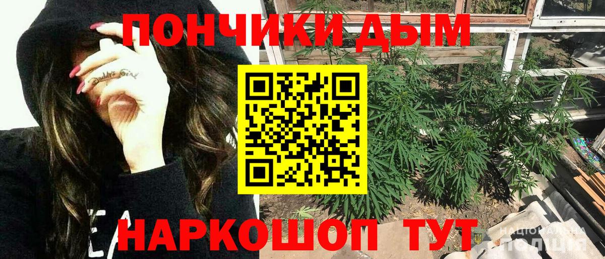 Кимры  Каннабис семена  МАРИХУАНА OG Kush  Конопля семена  Вход с VPN 